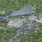 Field_TurfDamage Field_TurfDamage