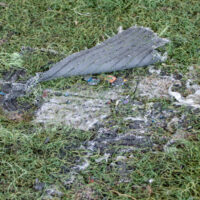 Field_TurfDamage Field_TurfDamage