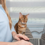 WorkFromHome WorkFromHome