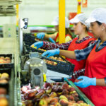 ProduceSort ProduceSort
