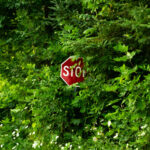 StopSignSemi_Hidden